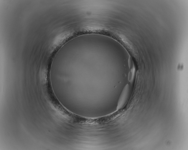 X0000091290640200708101247