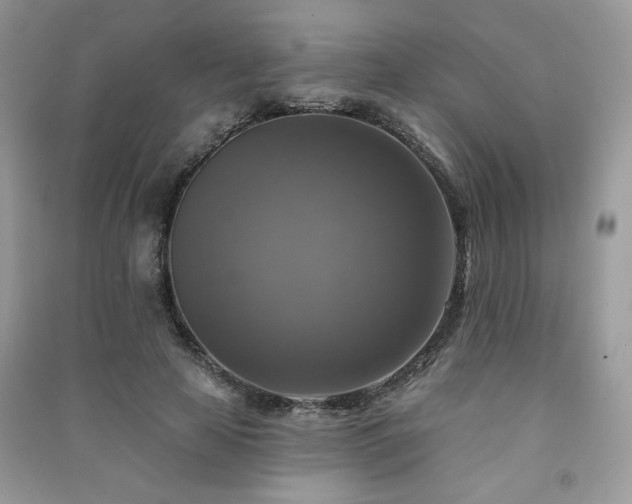 X0000091290641200708101247