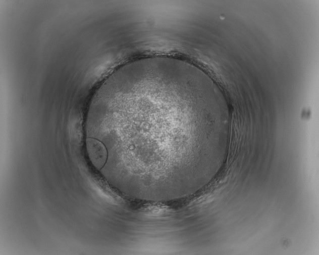 X0000091290642200708101247