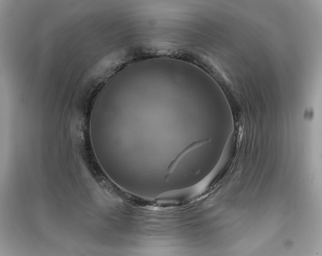 X0000091290643200708101247