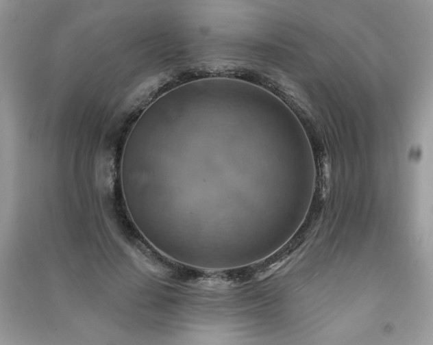 X0000091290644200708101247