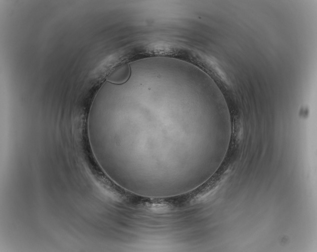 X0000091290645200708101247