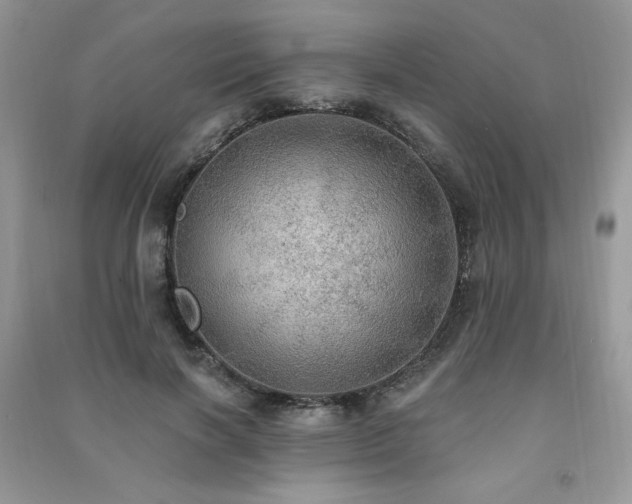 X0000091290646200708101247