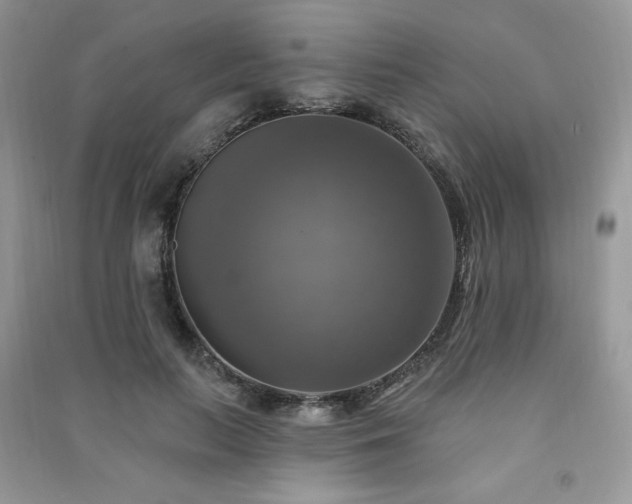 X0000091290647200708101247