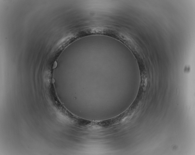 X0000091290648200708101247