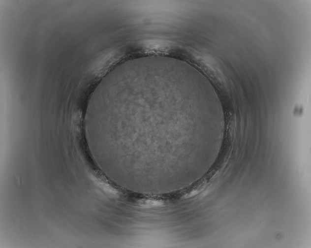 X0000091290649200708101247