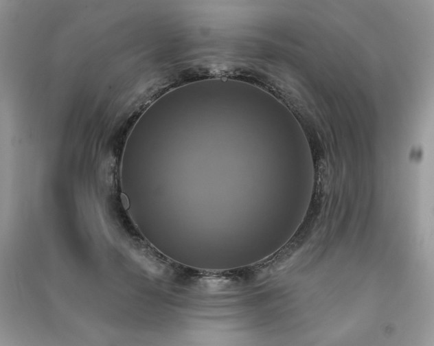 X0000091290650200708101247