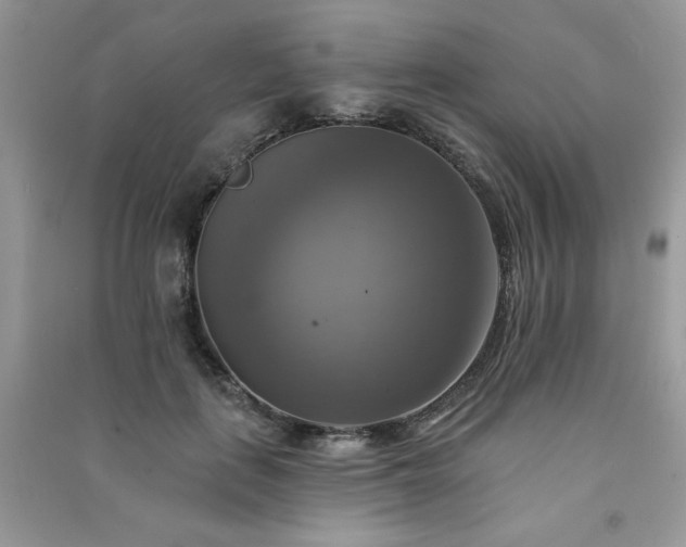 X0000091290651200708101247