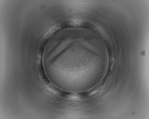 X0000091290652200708101247