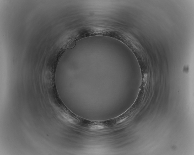 X0000091290653200708101247