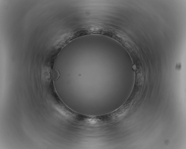 X0000091290654200708101247