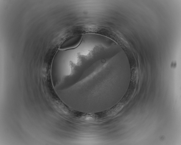 X0000091290655200708101247