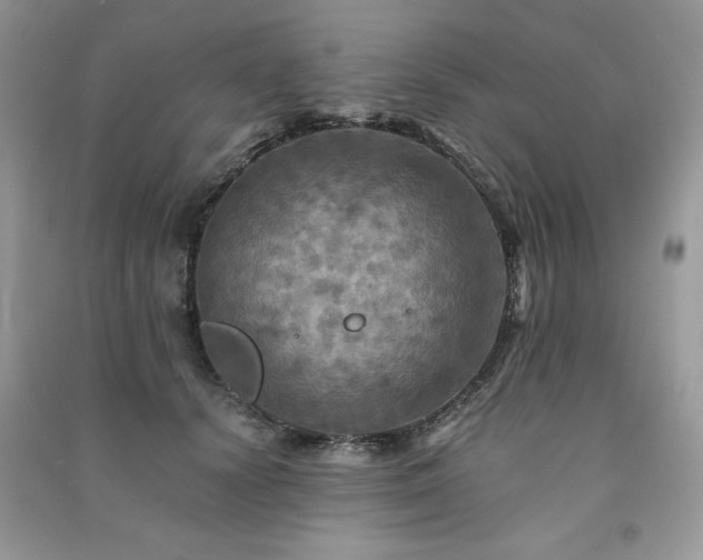 X0000091290656200708101247