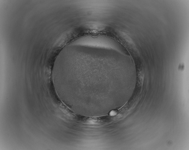 X0000091290657200708101247