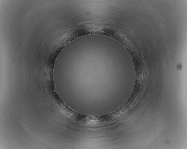 X0000091290658200708101247