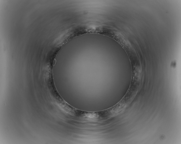 X0000091290659200708101247