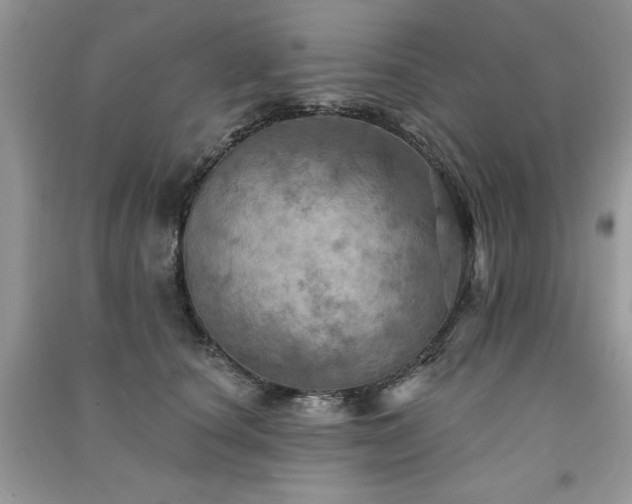 X0000091290660200708101247