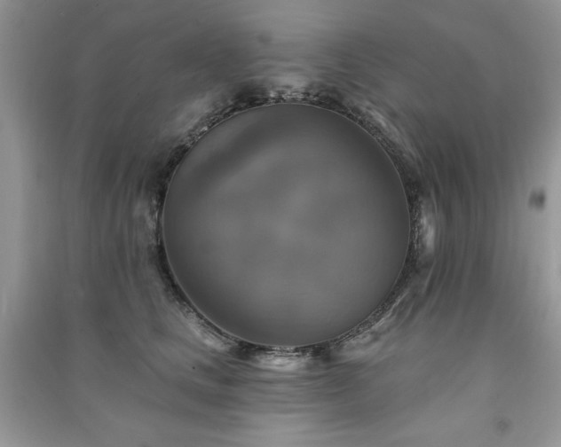 X0000091290661200708101247