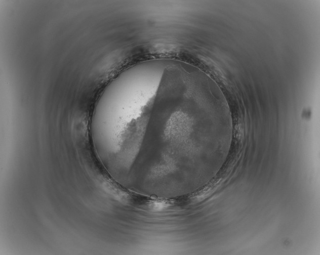 X0000091290662200708101247