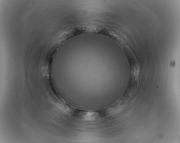 X0000091290663200708101247