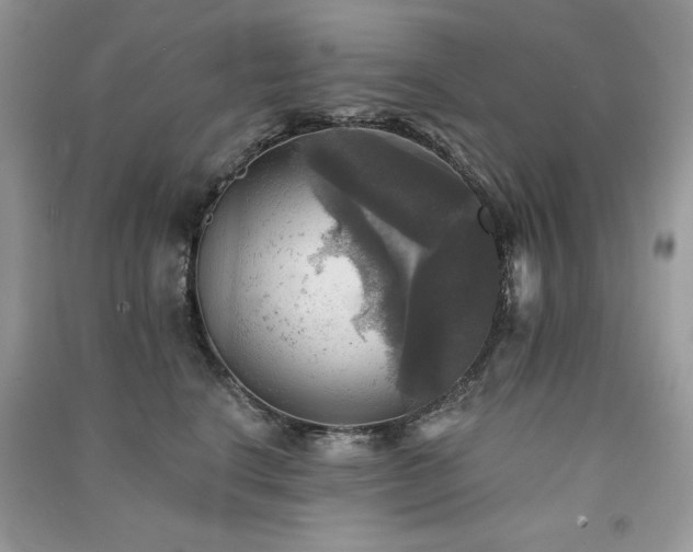 X0000091290664200708101247