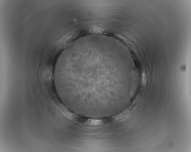 X0000091290665200708101247