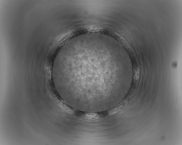 X0000091290666200708101247