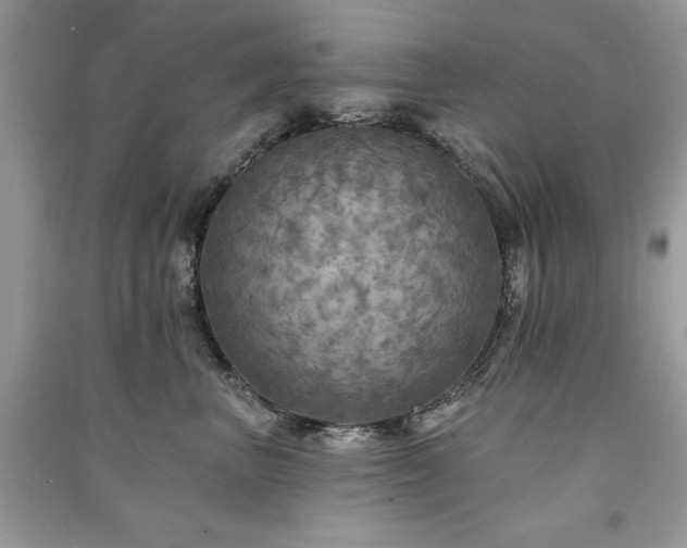 X0000091290667200708101247