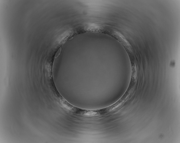 X0000091290669200708101247