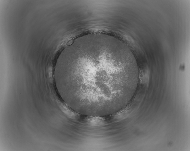 X0000091290670200708101247