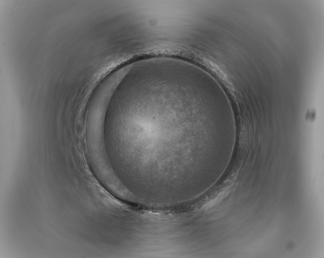 X0000091290673200708101247