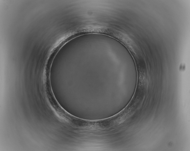 X0000091290674200708101247