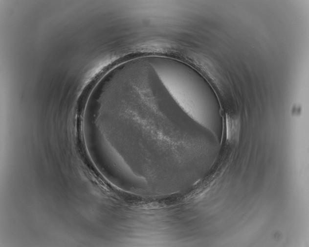 X0000091290675200708101246