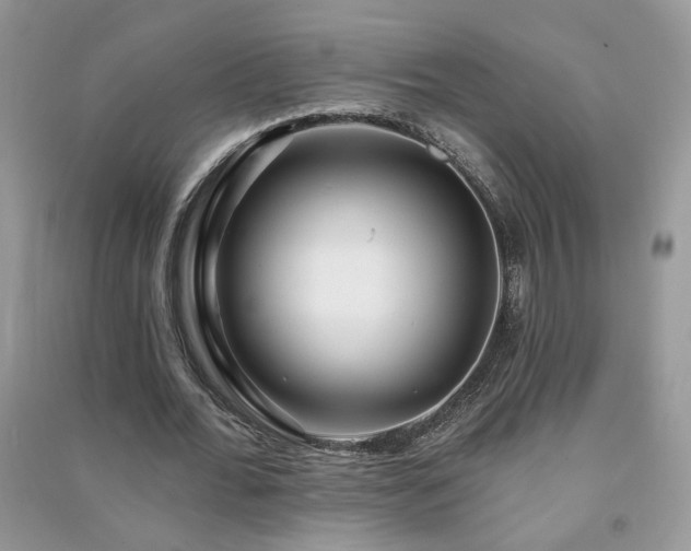 X0000091290676200708101246