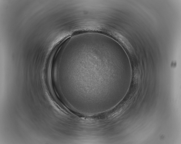 X0000091290677200708101246