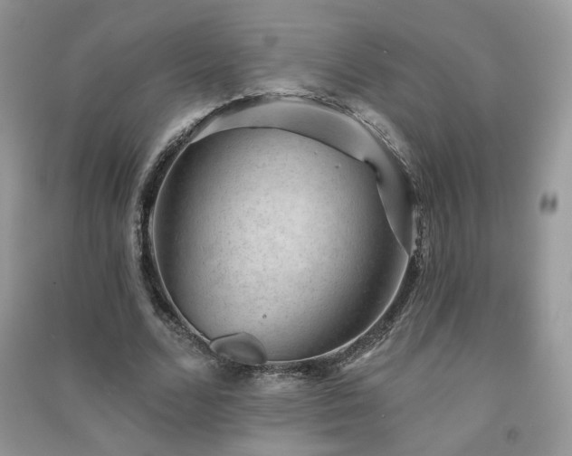 X0000091290680200708101246