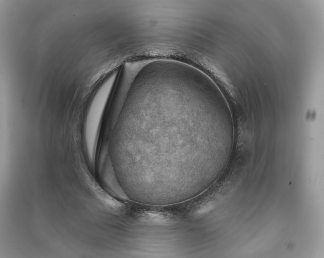 X0000091290681200708101246