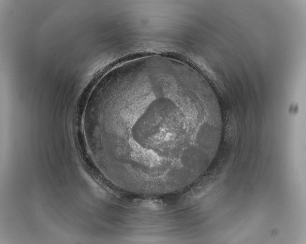 X0000091290683200708101246