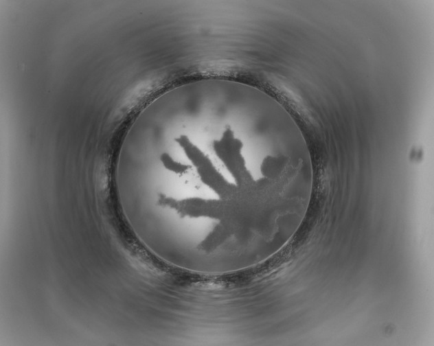 X0000091290687200708101246