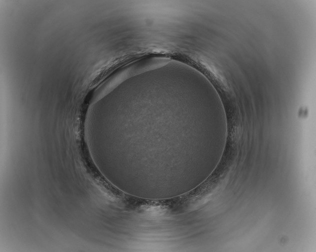 X0000091290689200708101246