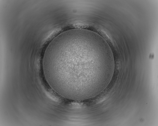 X0000091290690200708101246