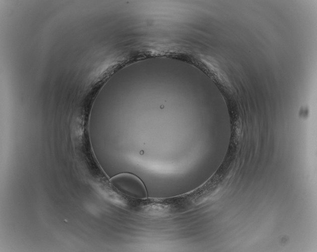 X0000091290691200708101246