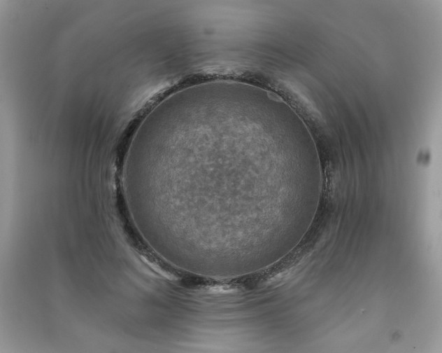 X0000091290692200708101246