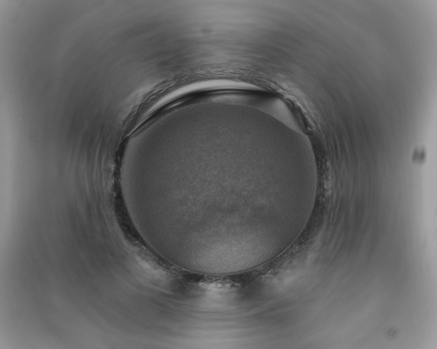 X0000091290693200708101246