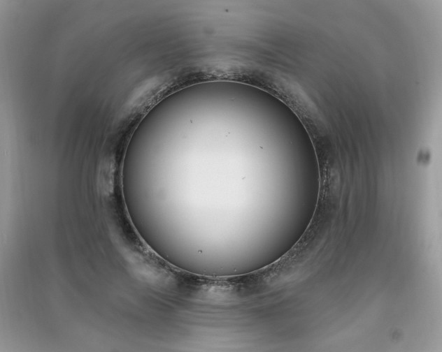 X0000091290694200708101246