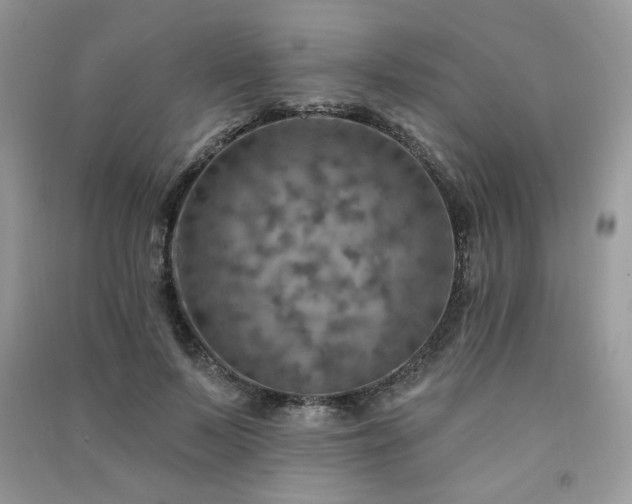 X0000091290695200708101246