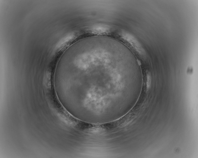 X0000091290696200708101246