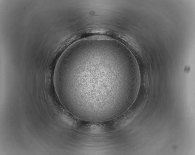 X0000091290697200708101246