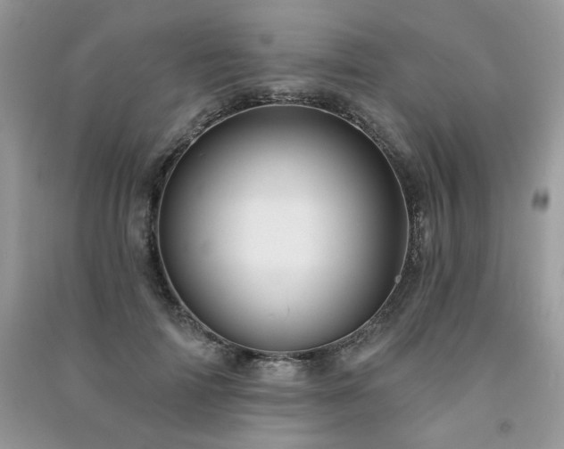 X0000091290698200708101246