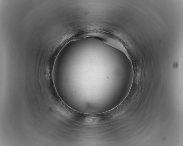 X0000091290700200708101246